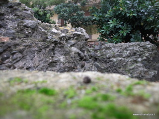 Ipogeo Quadrato